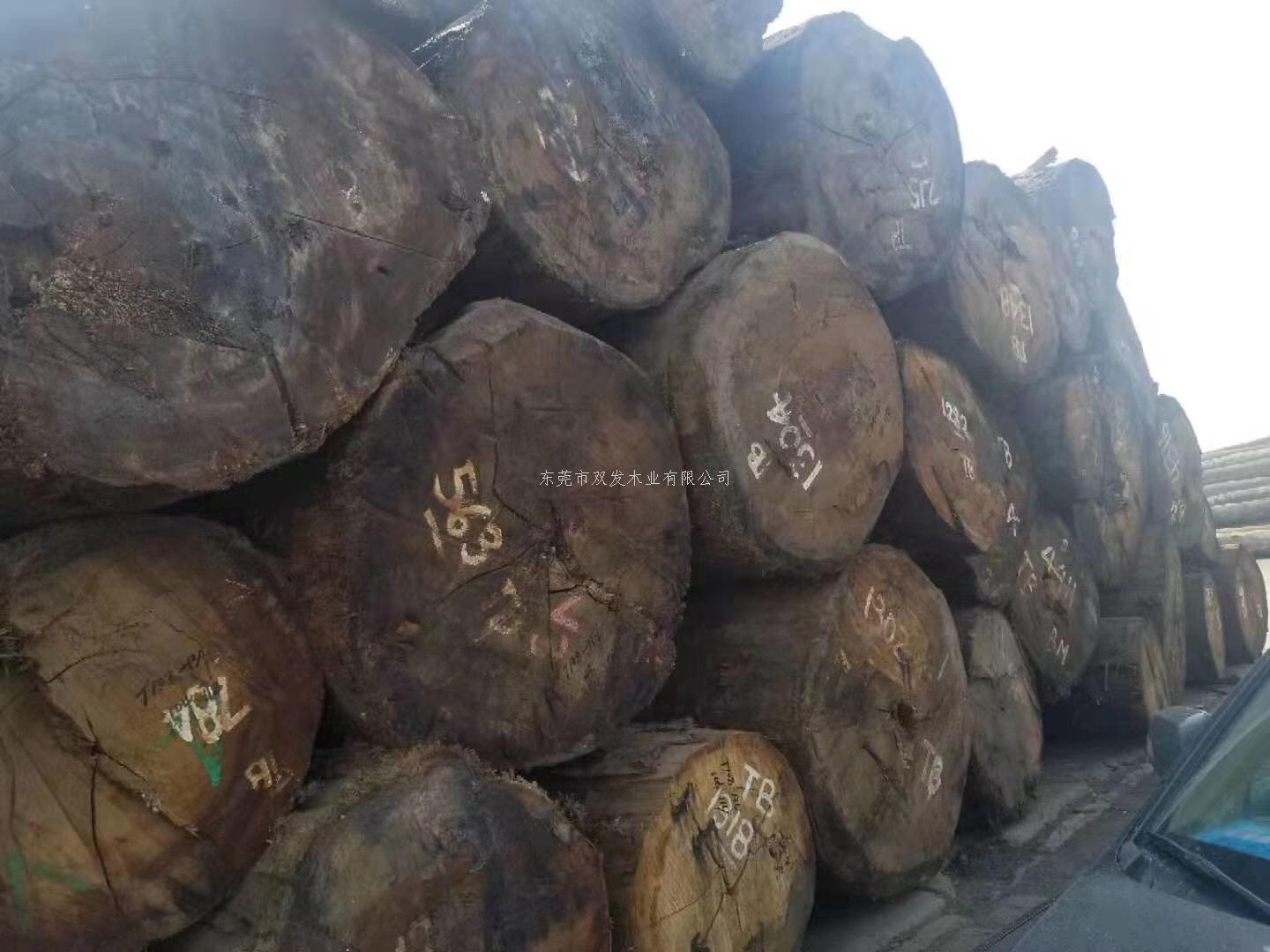 迎7月家具展，雙發(fā)木業(yè)原木加工進行中。。